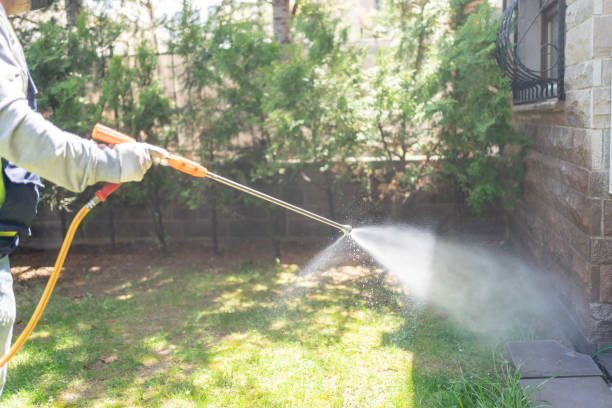 Best Mosquito Control Services  in Advance, MO