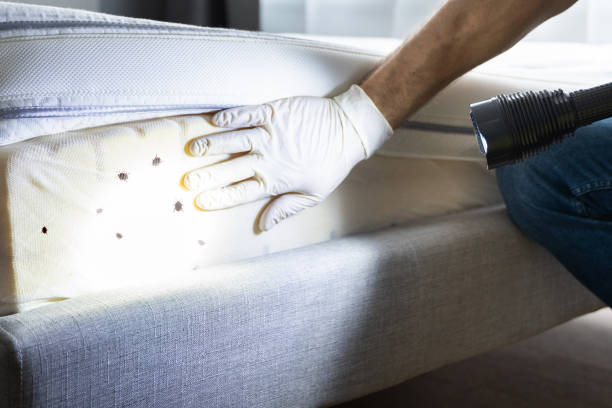 Best Commercial Pest Control Services  in Advance, MO